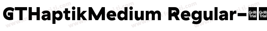 GTHaptikMedium Regular字体转换